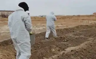 Дезинфекционные работы в пригородах Атырау: борьба с вредителями в Талгайране, Аспе, Алмалы и Береке на берегах реки Урал