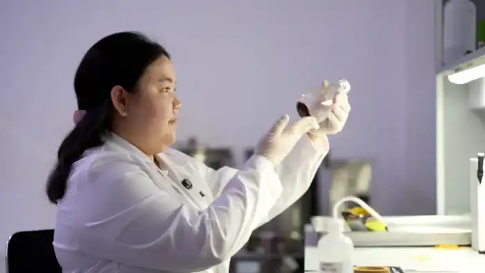 Цикорий: секретный союзник в борьбе с диабетом! Атырау