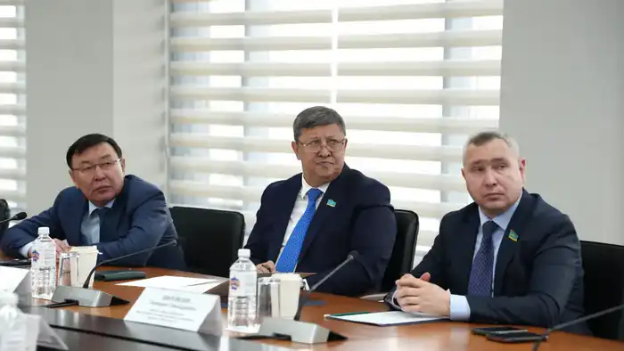 Международное сотрудничество в области гражданской защиты: встреча МЧС с сенаторами Атырау
