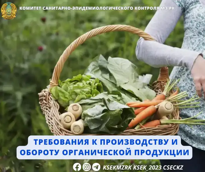 Несоответствие стандартам органической продукции в Казахстане: угроза для отрасли и потребителей Атырау