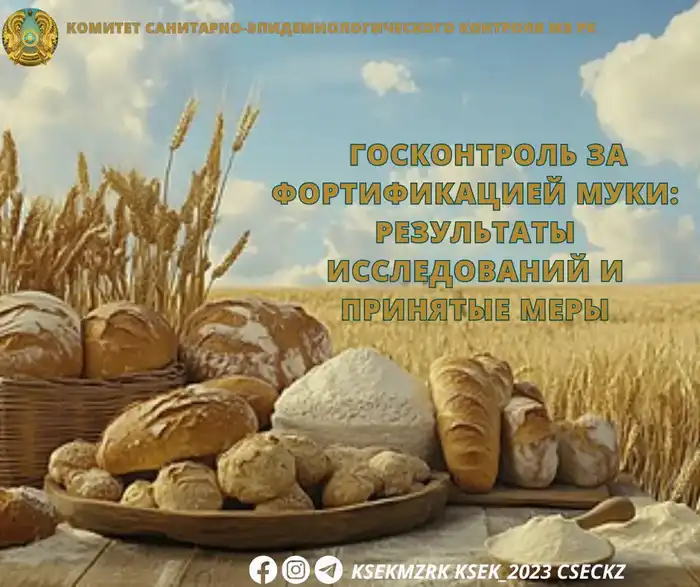 Исследование показало нарушения в содержании железа и цинка в фортифицированной муке: последствия для здоровья населения Атырау