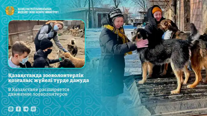 Международное движение зооволонтеров в Казахстане: проект 'Kazakhstan for Animals' охватывает 20 регионов Атырау
