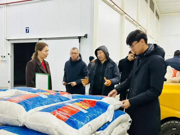 В Туркестанской области запустят производственный парк на 100 га с более чем 30 заводами Атырау