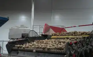Социальные последствия изменения балансов лука и картофеля в Казахстане в 2025 году
