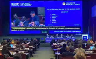 А. Ертаев проинформировал МОМ о совершенствовании миграционной политики в Казахстане