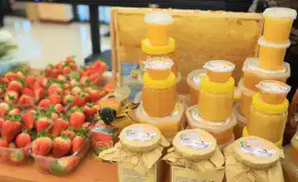Рост сельского предпринимательства: влияние программы «Ауыл аманаты» на кооперативы и рабочие места