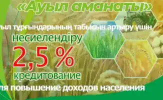 Кредитный мост к процветанию: платформа «Ауыл аманаты» открывает новые горизонты