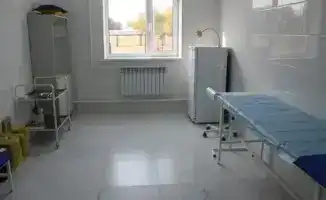 В Карасайском районе открываются три новых медицинских объекта