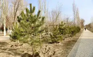 Новые места отдыха в Президентском парке