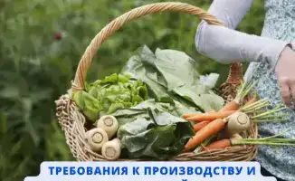 Несоответствие стандартам органической продукции в Казахстане: угроза для отрасли и потребителей