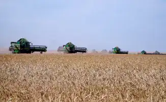 Акмолинская область лидирует по сбору зерна