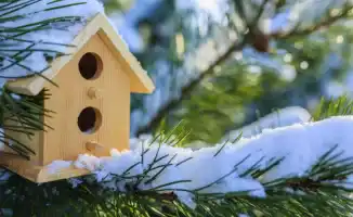 Прогноз погоды в Астане и Алматы на 5, 6 и 7 декабря: похолодание и снег