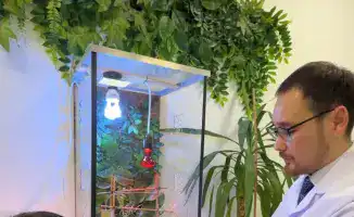 В столичной школе «Келешек мектебi» открылась живая лаборатория природы для юных исследователей