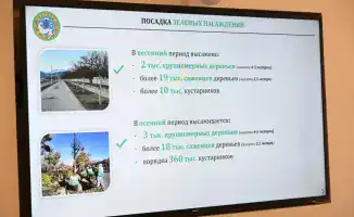 Алматы на пути к экологической трансформации: результаты программы «Таза Қазақстан»
