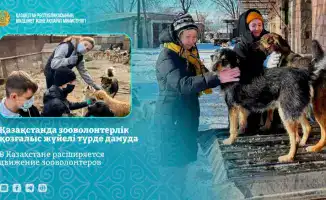 Международное движение зооволонтеров в Казахстане: проект 'Kazakhstan for Animals' охватывает 20 регионов