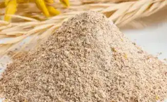 Экспорт кормовой муки из Казахстана в Китай укрепляет продовольственную безопасность