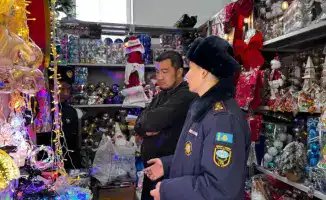 Свет и тень новогодних фейерверков: спасатели напоминают о правилах пиротехнической безопасности