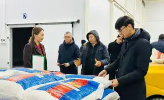 В Туркестанской области запустят производственный парк на 100 га с более чем 30 заводами