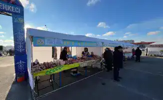Говядина и картофель: свежий урожай на ярмарке в Караганде – праздник для гурманов