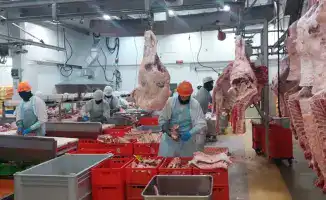 Расширение Реестра импортеров ОАЭ: новые возможности для казахстанских производителей