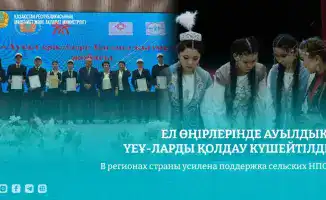 Укрепление сельских НПО в Казахстане: международный опыт и поддержка