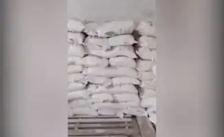 В Курмангазинском районе мука из России прошла через фитосанитарный фильтр: что скрывается за 20 тоннами пшеничного теста?