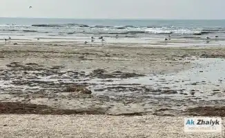 Падение уровня Каспийского моря: тревога прикаспийских стран и готовность властей Мангистау к безводному будущему