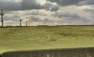 Серные карты Тенгиза: от токсичного наследия к экологическому возрождению — ТШО представила путь к чистоте и заботе о природе