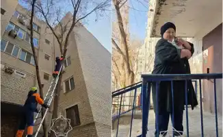 В Атырау спасатели международного уровня помогли снять кошку с дерева по вызову хозяйки