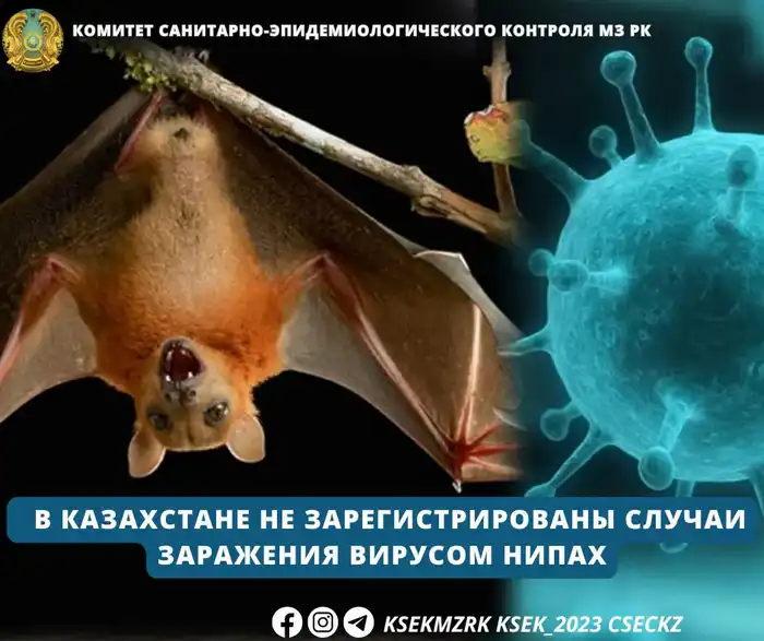 Казахстан: Оазис безопасности в мире вируса Нипах Атырау