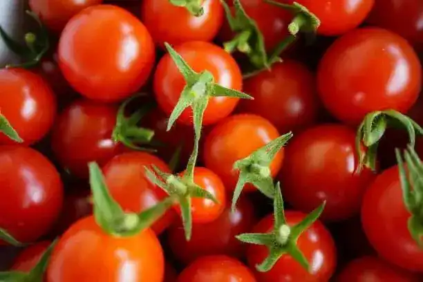 Факт ввоза зараженной подкарантинной продукции выявлен в аэропорту Астаны Атырау