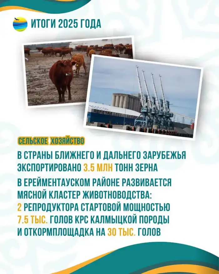 Акмолинская область: рекордный урожай 2025 года Атырау