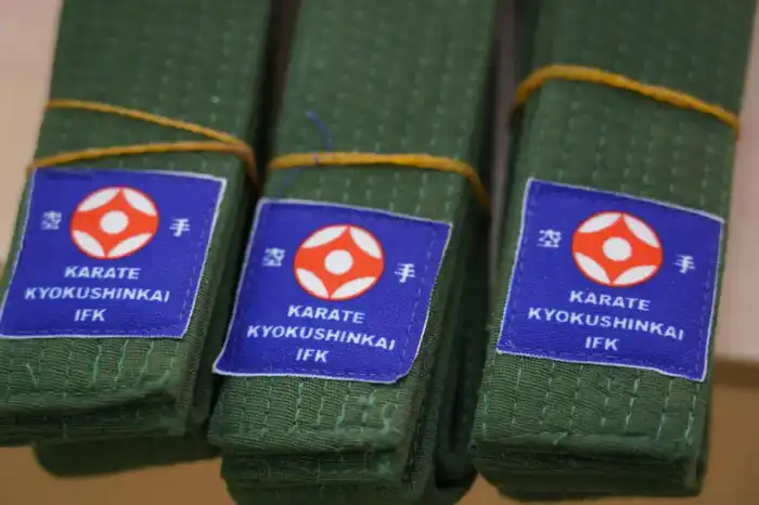 В столичной школе №20 прошла церемония вручения поясов юным каратистам Атырау
