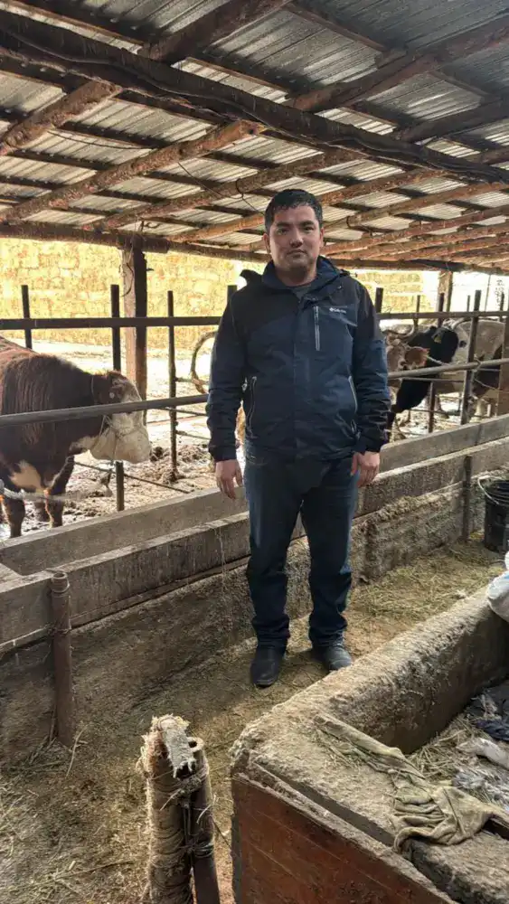 В Отырарском районе директор ТОО "Нурислам-Айшуак" Мухамеддауит Косаев развивает скотоводство, обеспечивая мясом жителей села Коксарай Атырау