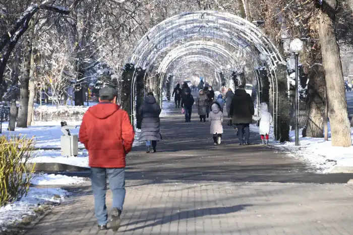 Новый год принес в Алматы 21 звёздного малыша Атырау