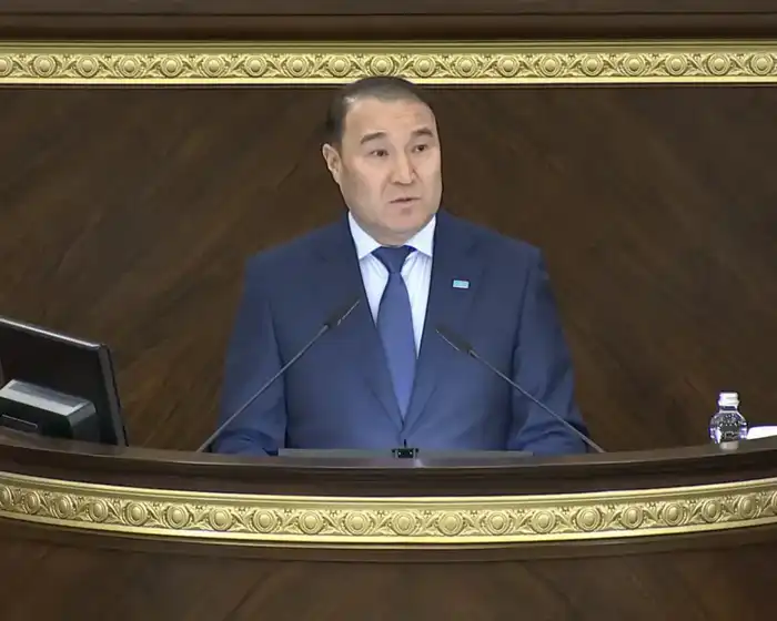 Союз под защитным щитом: Мажилис обсуждает создание механизма гражданской защиты в тюркском мире Атырау