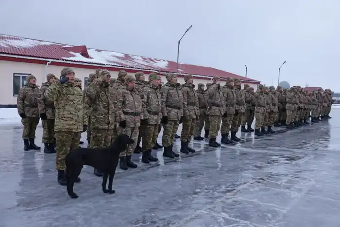 Собака Айқас на службе: тазы патрулирует воздушное пространство в Акмолинской области Атырау