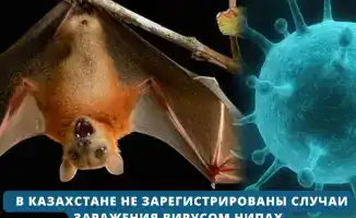 Казахстан: Оазис безопасности в мире вируса Нипах