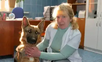 Четвероногие сыщики: 25 лет заботы о служебных собаках