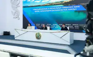 Сотрудничество стран в управлении водными ресурсами: 30 млрд кубометров воды для озера Балхаш за два года