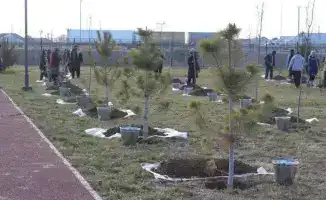 Туркестан: зима не страшна, дороги под контролем!