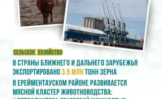 Акмолинская область: рекордный урожай 2025 года