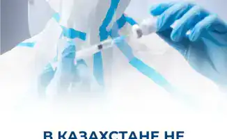 Стабильная эпидемиологическая ситуация в Казахстане: меры по предотвращению вируса Нипах