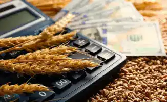 Неравенство в субсидировании перевозки зерна: некоторые компании обошли очередь