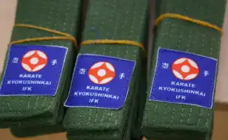 В столичной школе №20 прошла церемония вручения поясов юным каратистам