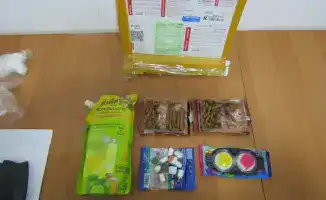 Студент колледжа осужден за международную контрабанду наркотиков: социальные последствия для молодежи