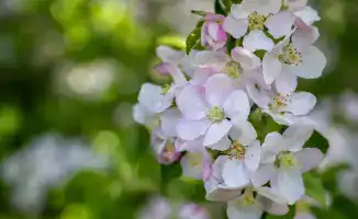 Kazakhstan's Jeti-Su Region Festivals Featured in 2026 Cultural Tourism Event Calendar