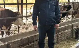В Отырарском районе директор ТОО "Нурислам-Айшуак" Мухамеддауит Косаев развивает скотоводство, обеспечивая мясом жителей села Коксарай