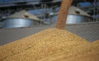 Отгрузка зерна с хлебных баз Продкорпорации в 2025 году достигла 432 тыс. тонн, увеличившись на 25% по сравнению с 2024 годом.