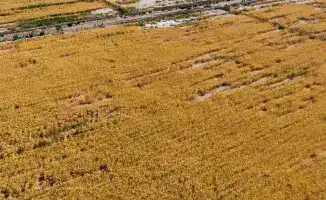 Эффективное использование водных ресурсов в Туркестанской области экономия воды и водосберегающие технологии